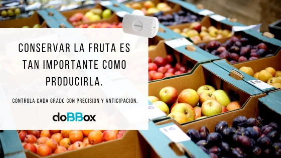 Esta semana celebramos el Día Mundial de la Fruta… pero, ¿qué pasa si una cámara frigorífica falla y nadie se entera?